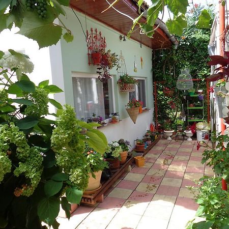Casa Munteanu Apartment Eforie Nord Exterior photo